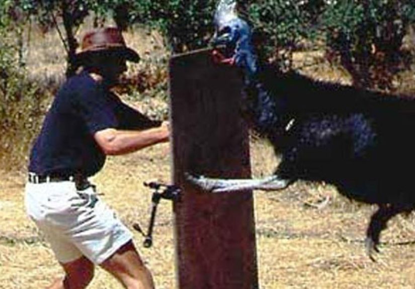 10 Unusual Ways to Die Through the Ages