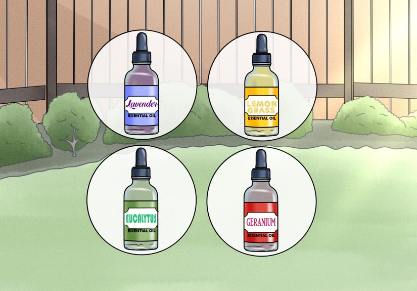 11 Ways to Keep Cats Out of Your Yard