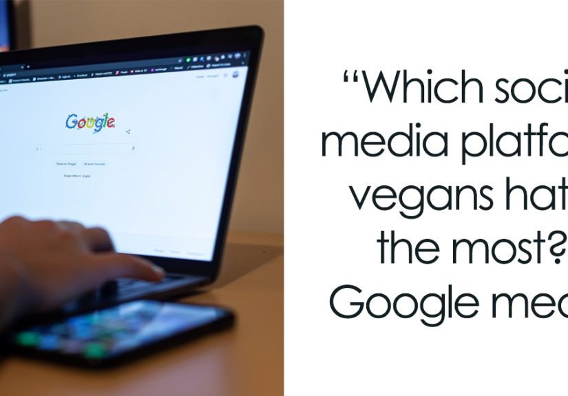 133 Social Media Jokes That Are Bound To Make You Giggle