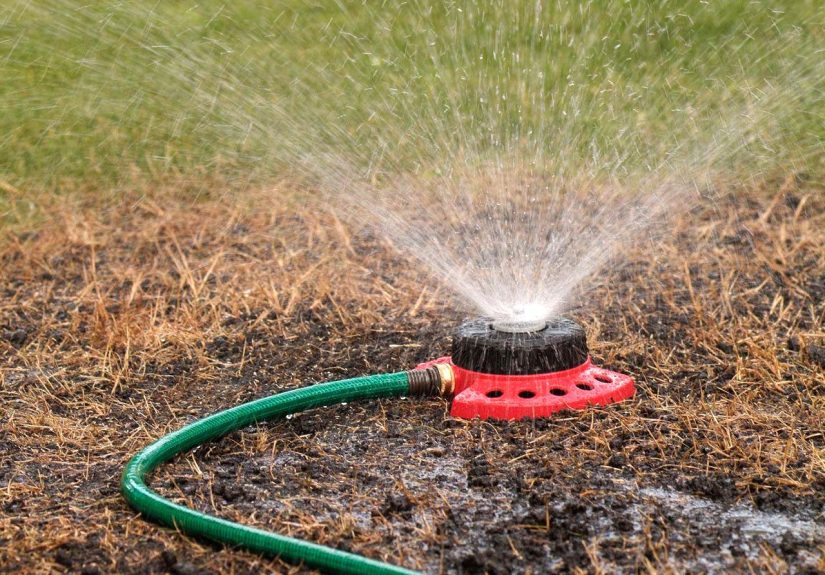 8 Steps to Fix a Lawn That’s All Weeds and Bare Patches