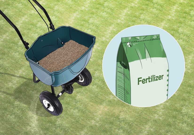 9 Easy Ways to Get Rid of Weeds Without Killing Grass