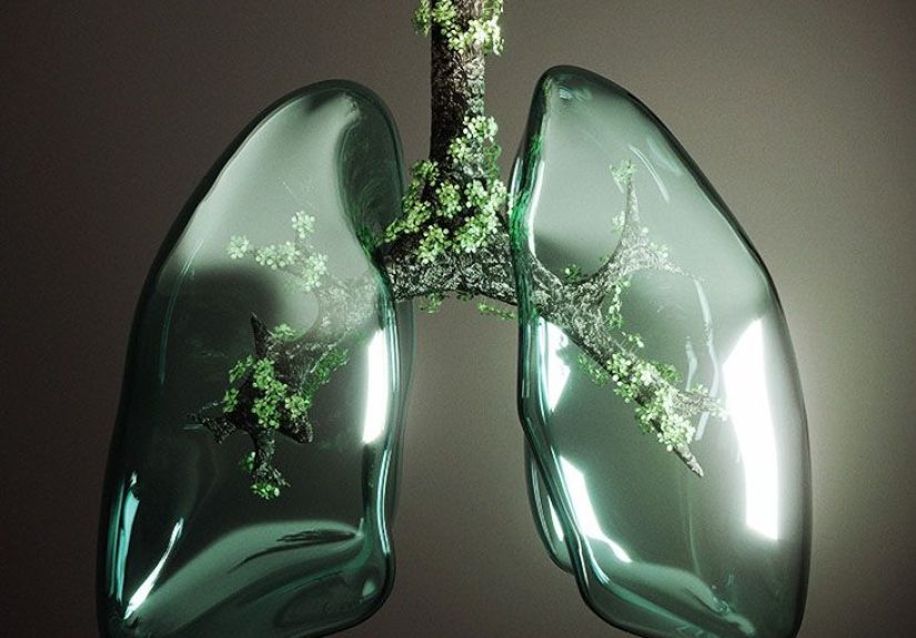 Comparing asthma, emphysema, and bronchitis