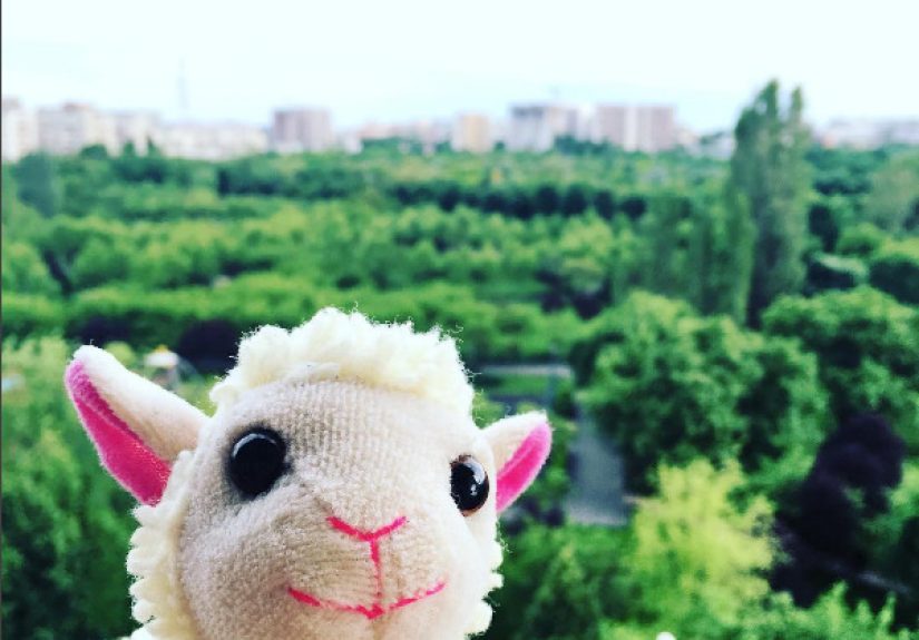 Felip The Sheep Presents You Bucharest City