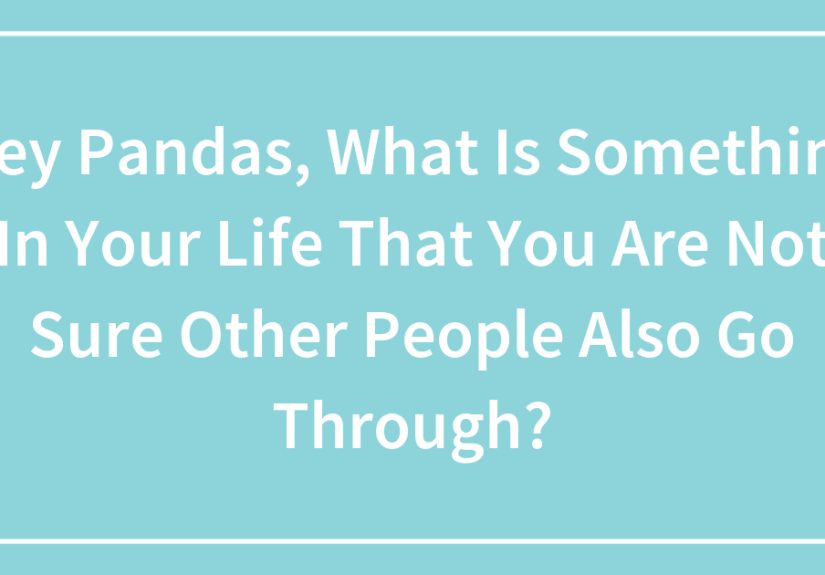 Hey Pandas, What Is Something In Your Life That You Are Not Sure Other People Also Go Through? (Closed)