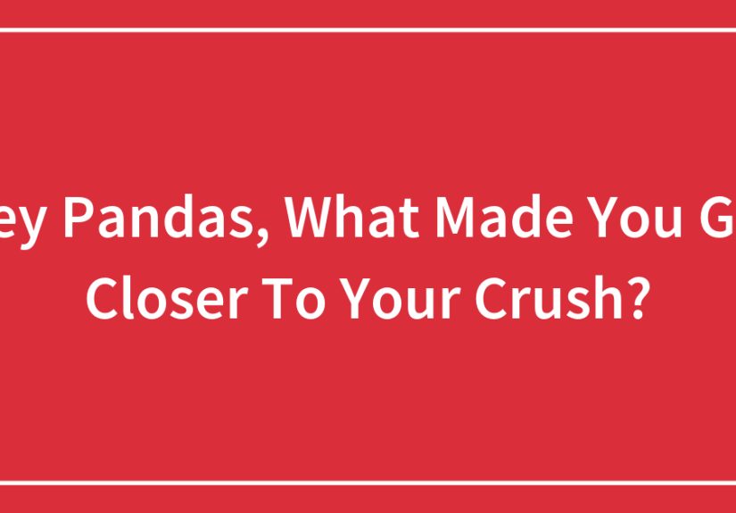 Hey Pandas, What Made You Get Closer To Your Crush? (Closed)