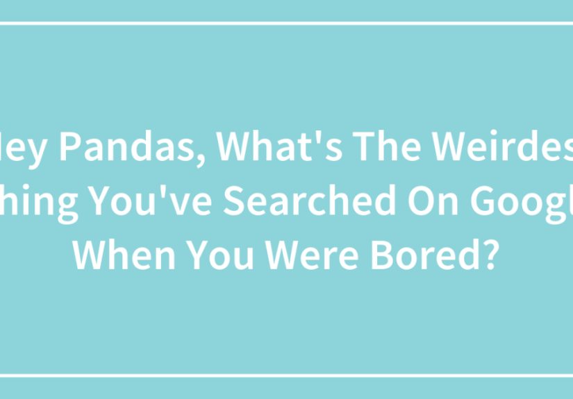 Hey Pandas, What’s The Weirdest Thing You’ve Searched On Google When You Were Bored? (Closed)