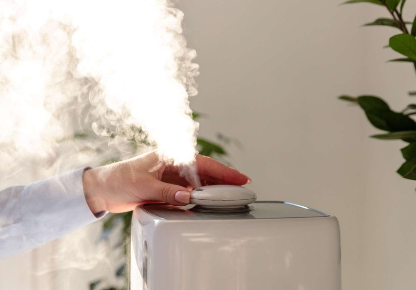 How Often Should You Change a Humidifier Filter?