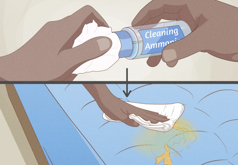 How to Deep Clean a Mattress: 13 Steps