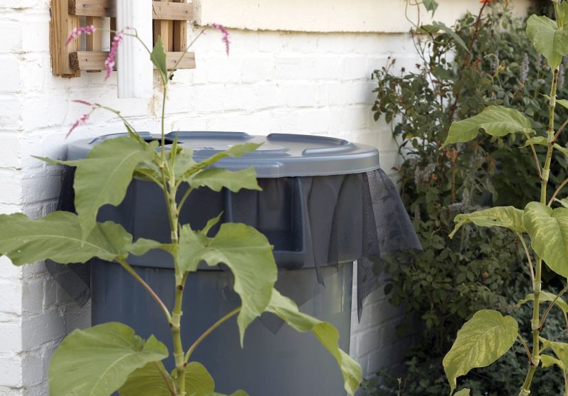 How to Make a DIY Rain Barrel in 5 Easy Steps