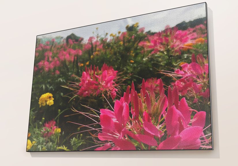 How to Make Your Own Canvas Prints