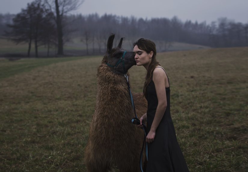 My Photos Reflect On The Bond Between People And Animals