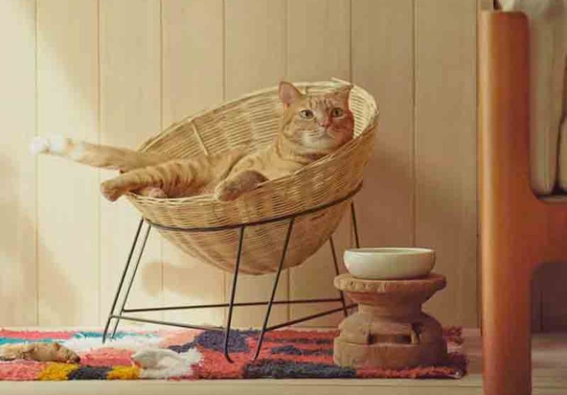 Orneko Iron Leg Rattan Chair: The Perfect Blend of Modern and Rustic Style