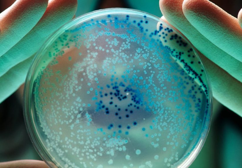 Scientists Built a New Lifeform With Just 57 Genetic Instructions