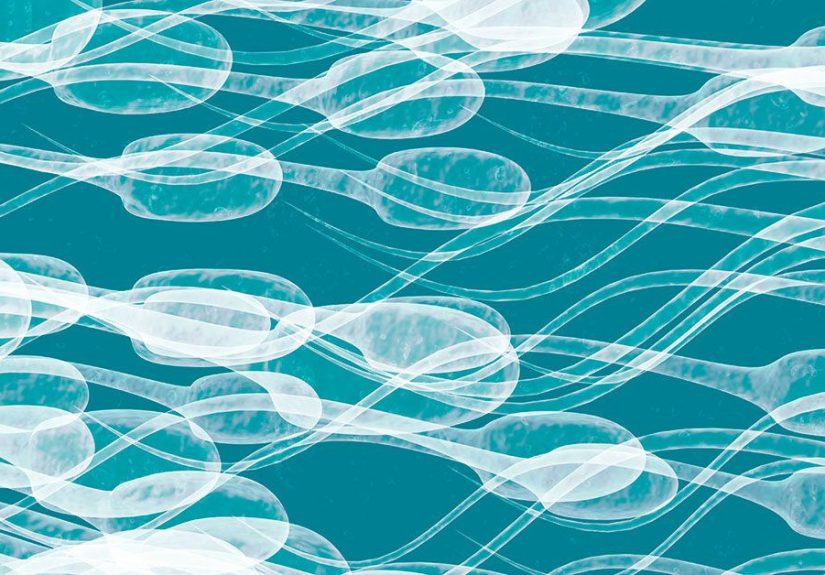 Semen Color Chart: Gray, Green, Brown, Texture Changes, More