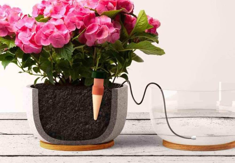 The Best Automatic Plant Waterers - Picks by Bob Vila