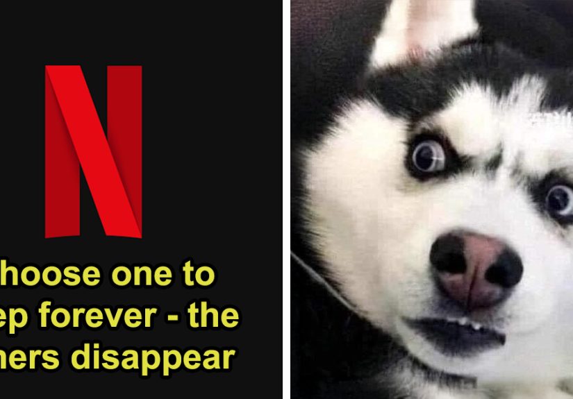 “Tough Picks: Friends, Breaking Bad, Or The Office?”: You Must Choose Just One And Eliminate The Rest In This 25-Item Poll