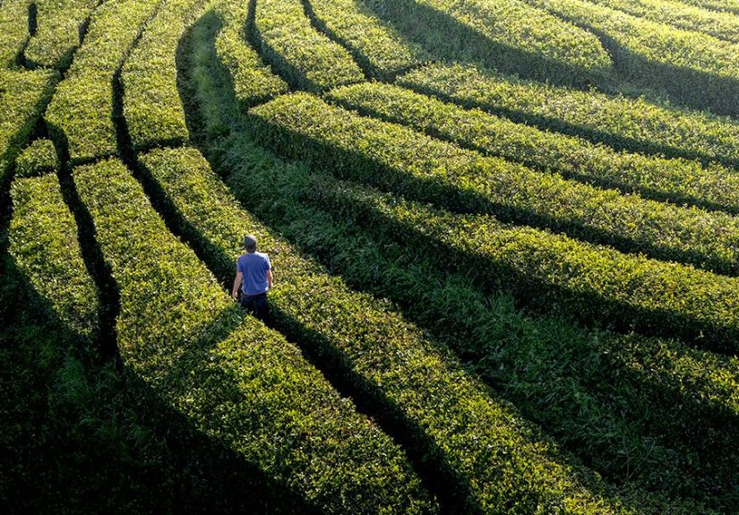 What is Post-traumatic Stress Disorder (PTSD)?