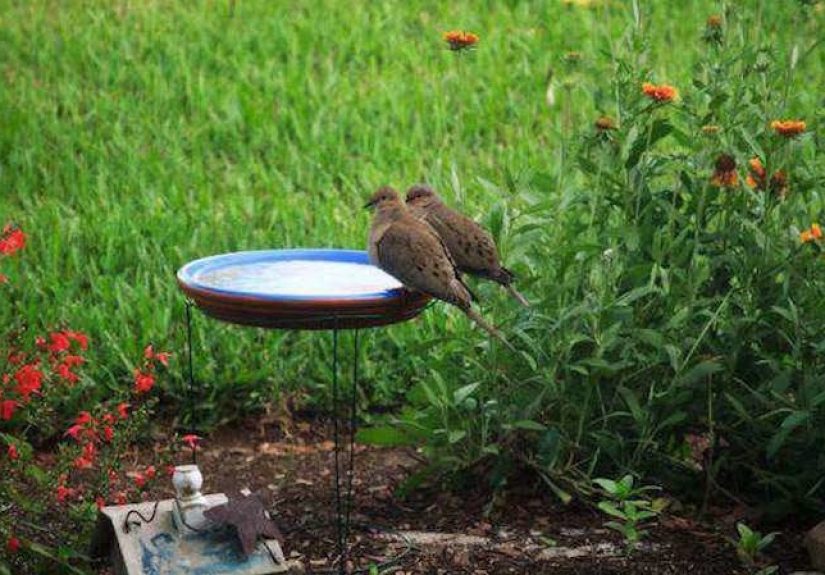 Wing It: 14 Approaches to a DIY Birdbath - Bob Vila