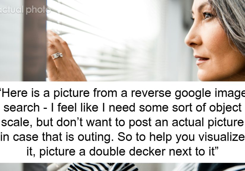 Woman Frustrated That Playhouse For Neighbor's Kids Is Bigger Than Her House And Takes Away Privacy