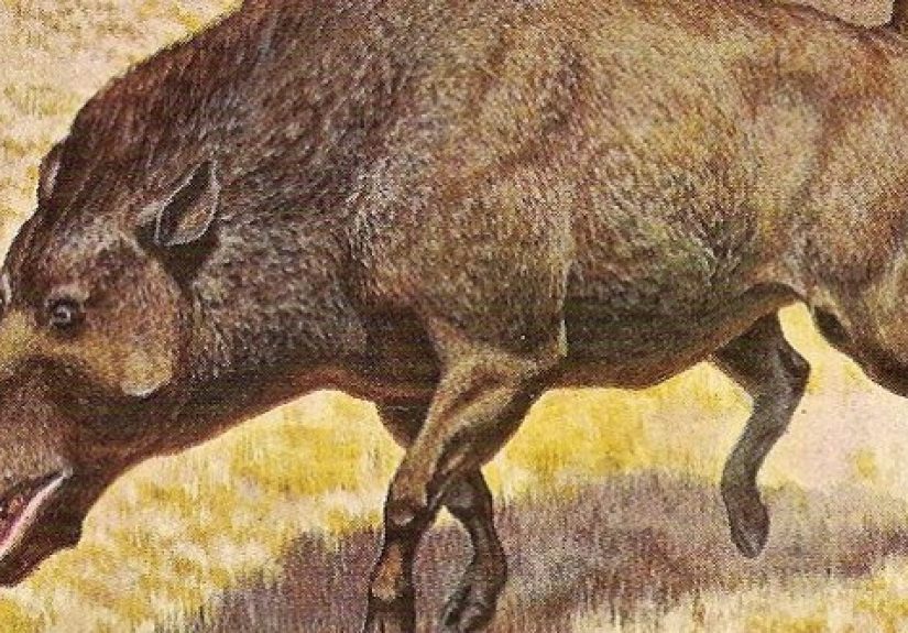 10 Terrifyingly Huge Extinct Versions Of Adorable Animals
