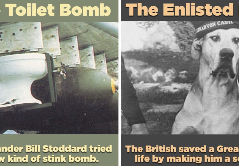15 Ridiculous Stories That Somehow Happened During War