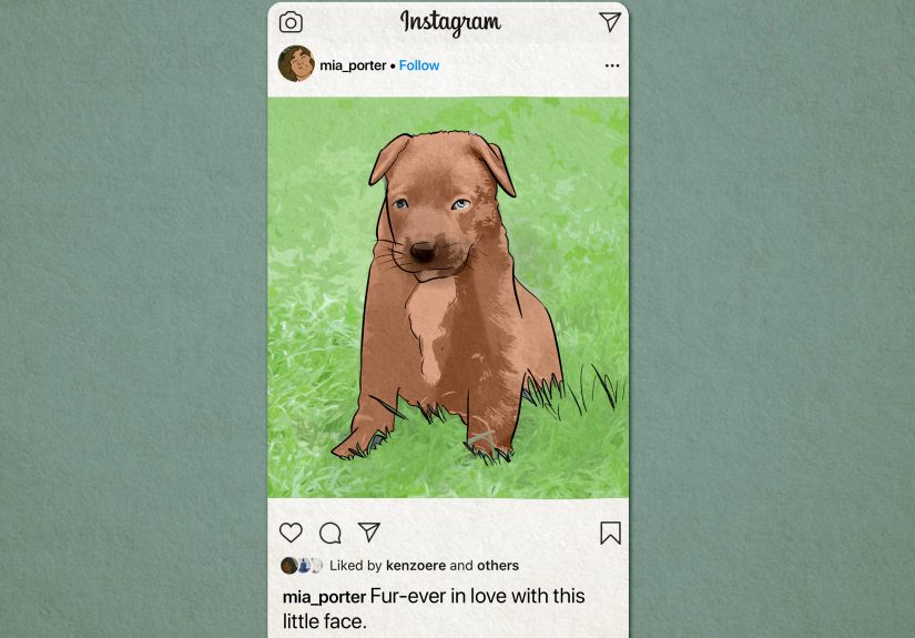 260+ Best Captions About Dogs for Instagram
