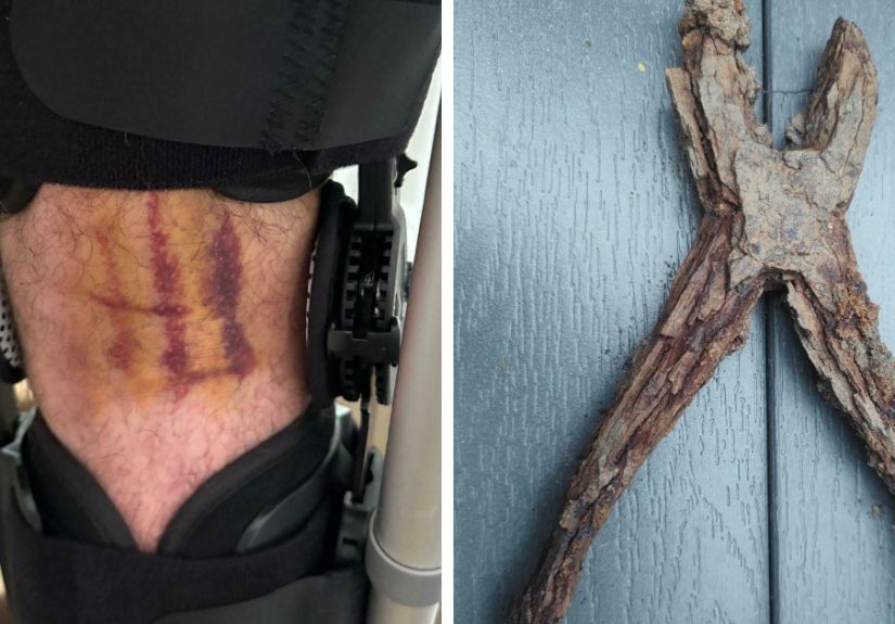 50 Interesting Things That Made People Do A Double Take To Realize What They Really Were (New Pics)