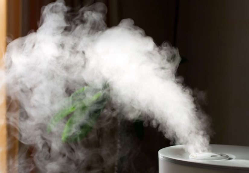 8 formas de limpiar una nariz congestionada para respirar mejor