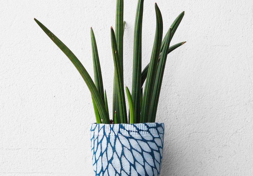 A Flower Pot With Sweater