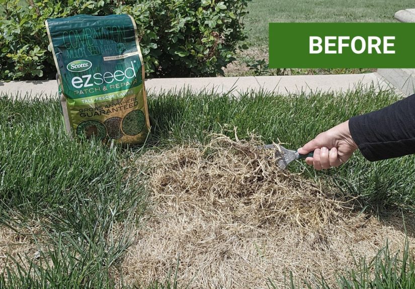 Ace Hardware YardRx Review: My 3-Season Lawn Transformation