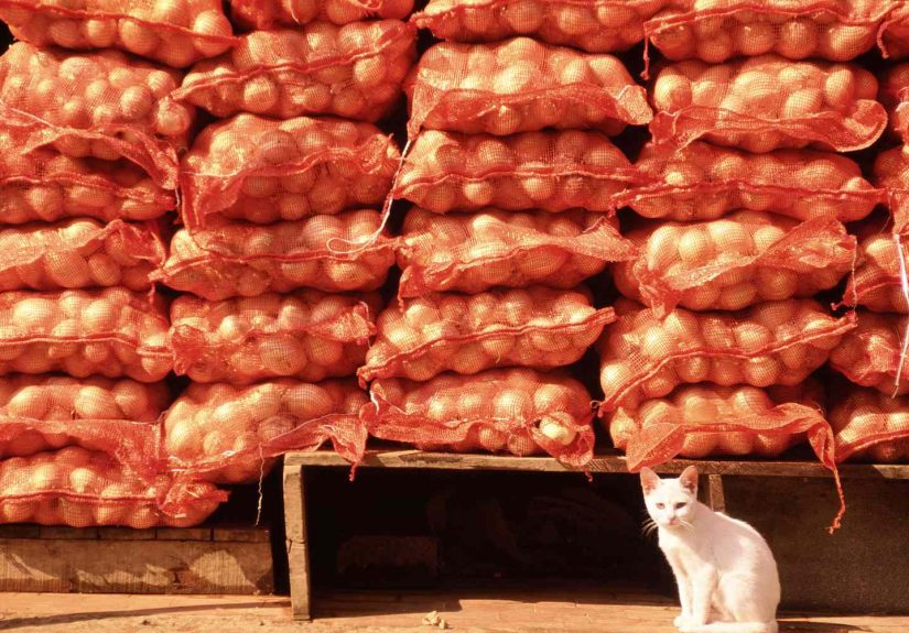 Current Account: Definition and 4 Components