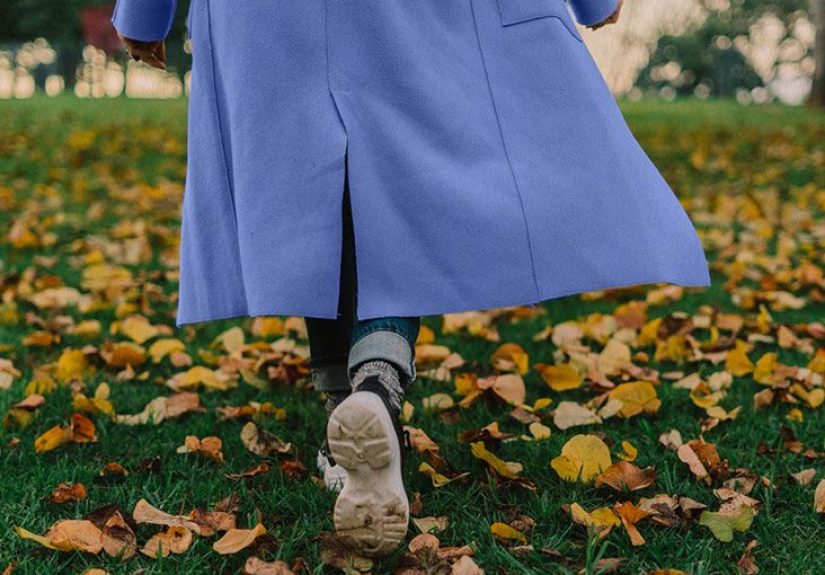 Fall allergies: Causes, treatment and how to manage them