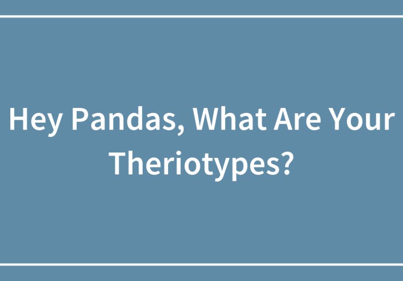 Hey Pandas, What Are Your Theriotypes?