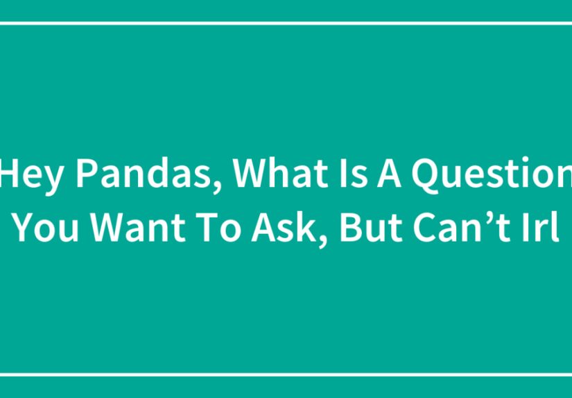 Hey Pandas, What Is A Question You Want To Ask, But Can’t IRL