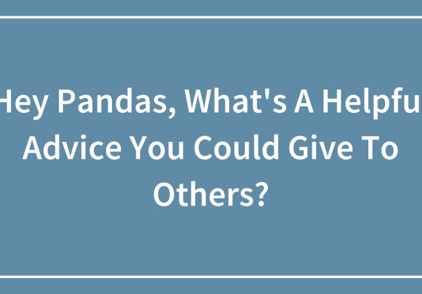 Hey Pandas, What’s A Helpful Advice You Could Give To Others?