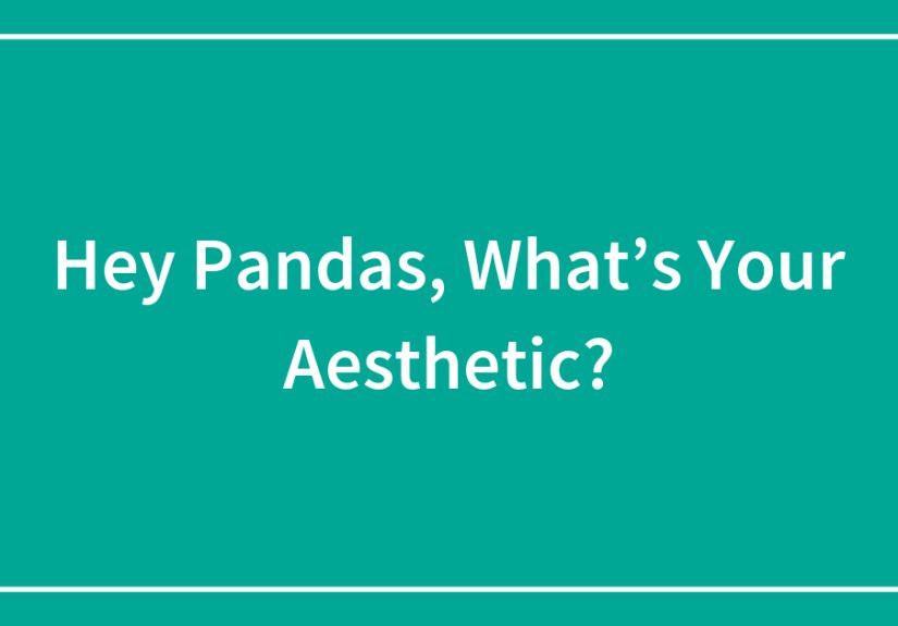 Hey Pandas, What’s Your Aesthetic?
