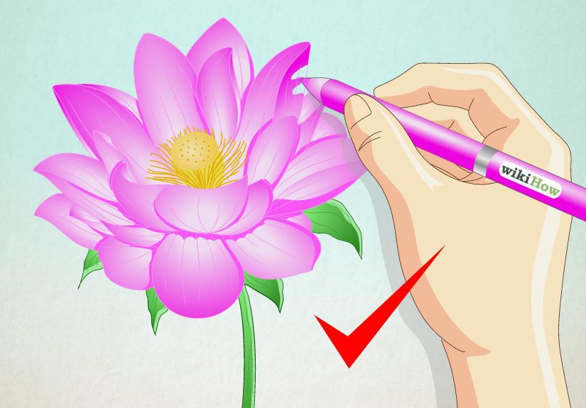 How to Draw a Lotus Flower: 7 Steps