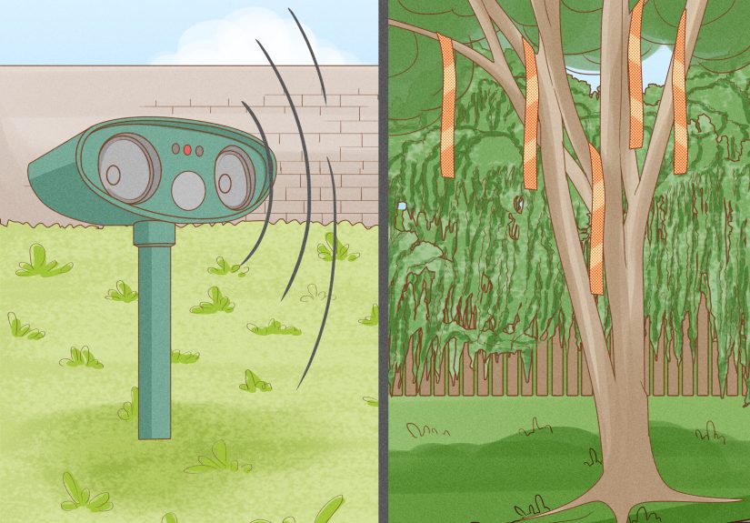 How to Get Rid of Animal Pests With Hot Pepper Spray