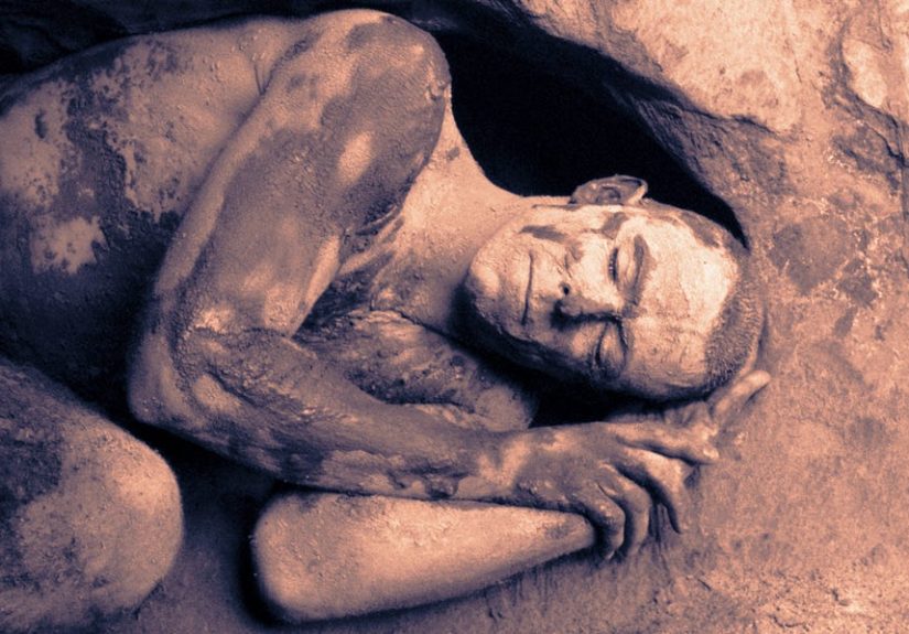 Humans Used to Be Able to Hibernate