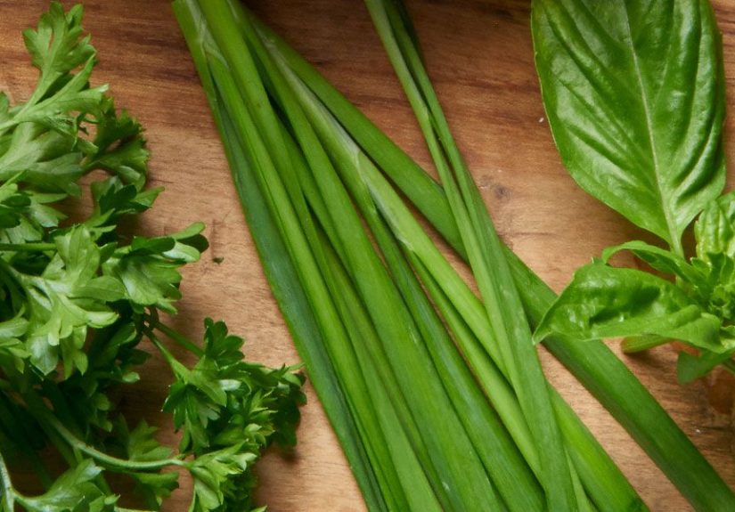 Ingredient Explainers