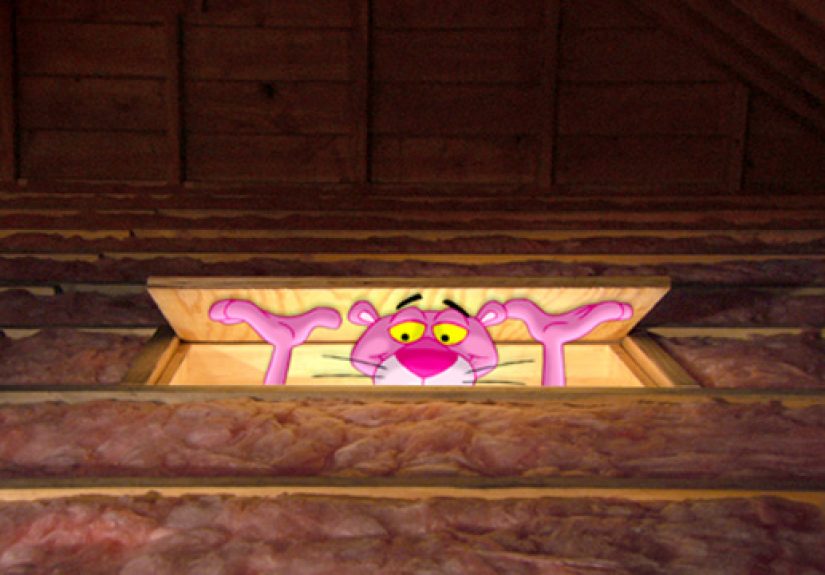 Insulation...It’s a good thing.