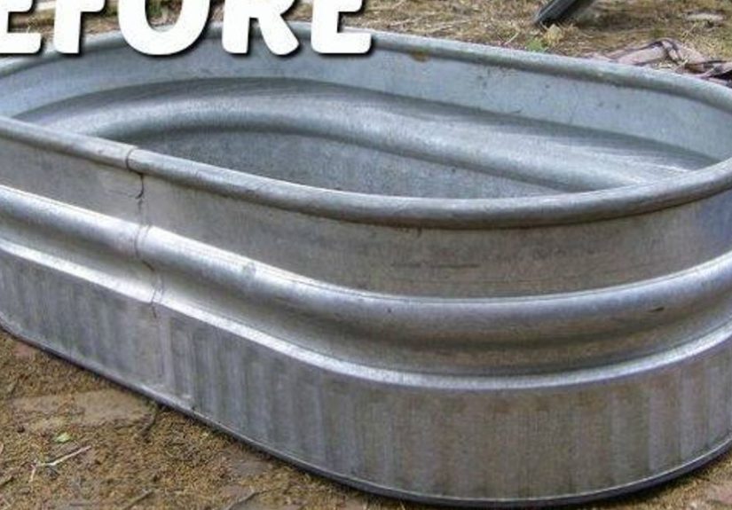 Livestock Water Trough Turned Coffee Table