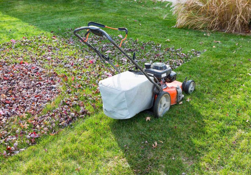 Mulching Mowers: How They Work and Why to Own One