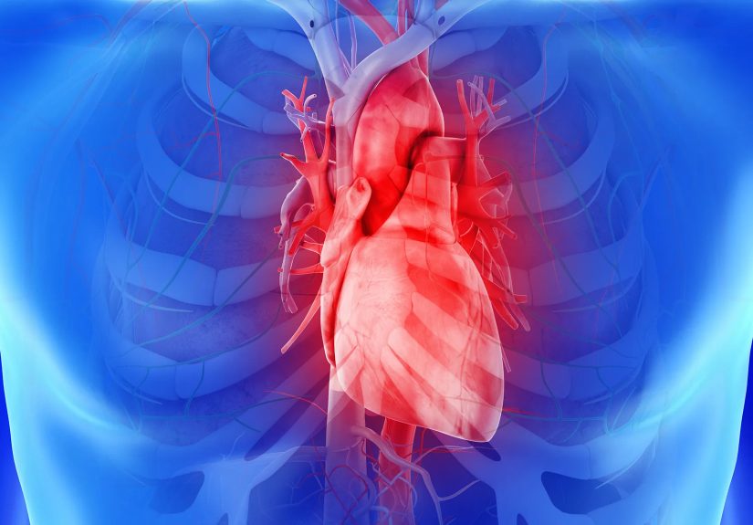 Myths and Facts: Your Heart - Sept