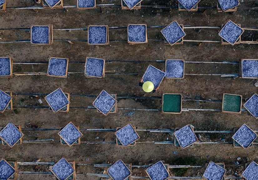 Omega-3 fatty acids from fish may reduce chronic kidney disease risk