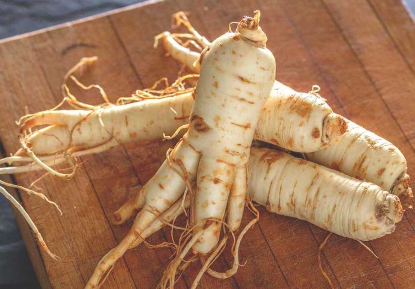 Possible ginseng benefits and research