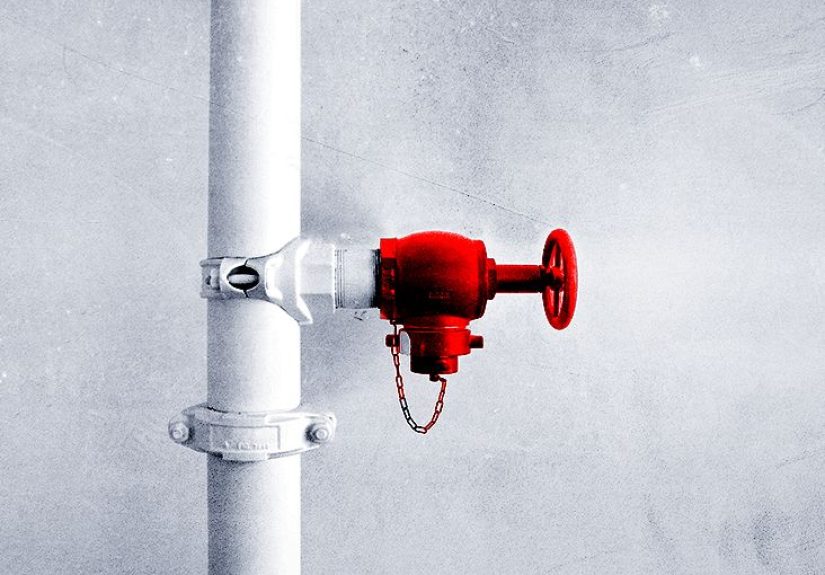 Prostate: Functions, Diseases, Structure, and Tests