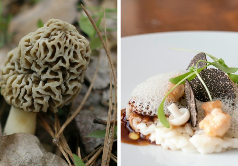 Scientists Warn Of ALS Risk From Popular Superfood Loved By The Wealthy