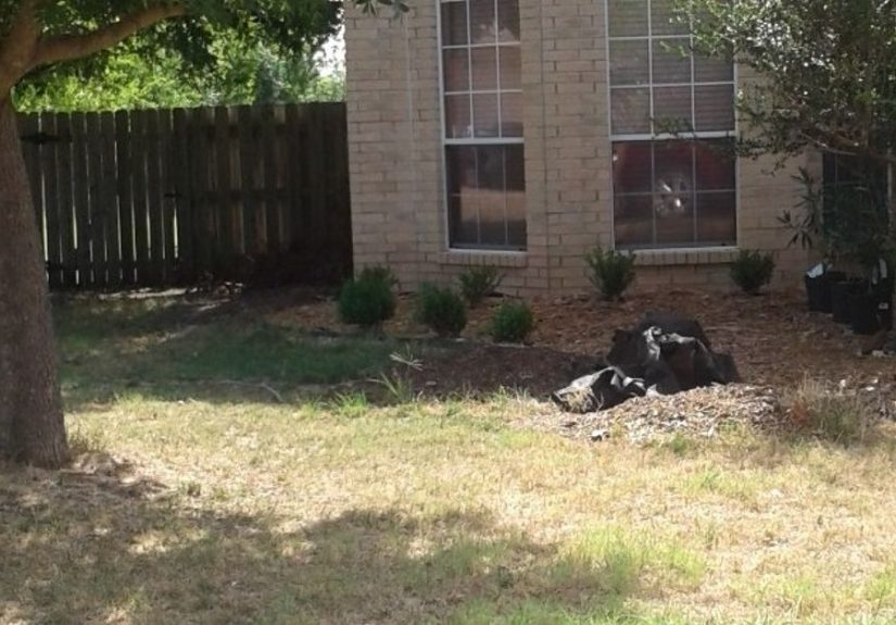 Shaded Front Yard Fix