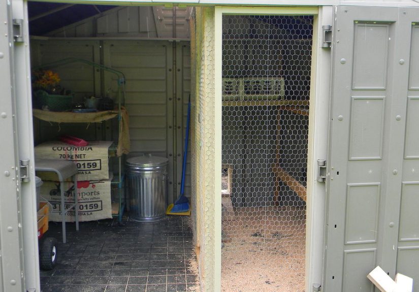 Shed Converted to Chicken Coop